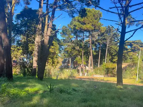 Coronel De Marina Leandro Rosales 100