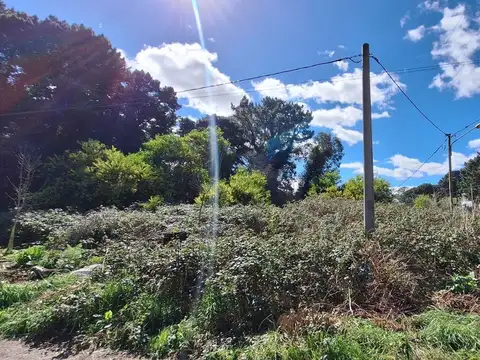 Terreno en Venta de 600,0 m2