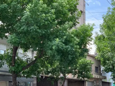 Jose Enrique Rodo 5500