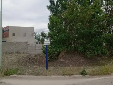 Rio Agrio y Rio Limay