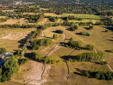 Oportunidad Única en Azzurra Tortugas: Lote de 750 m² en un Entorno Natural y Sofisticado