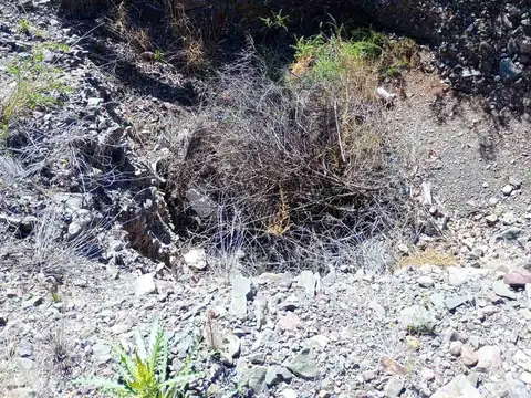 Terreno en Venta en Mendoza, USD 23.000