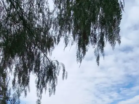 VENTA LOTE B° LA ANGOSTURA EL CHALLAO MENDOZA