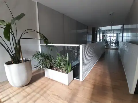 Departamento en Alquiler Permite mascota