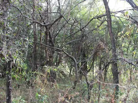 Terreno en Venta de 480,0 m2