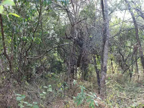 Terreno en Venta en Cosquin, USD 8.000