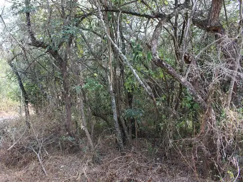 VENTA TERRENO 480M2 VILLA PAN DE AZUCAR COSQUIN