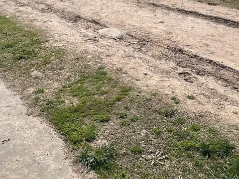 Barrios Los Potreritos San Miguel del Monte