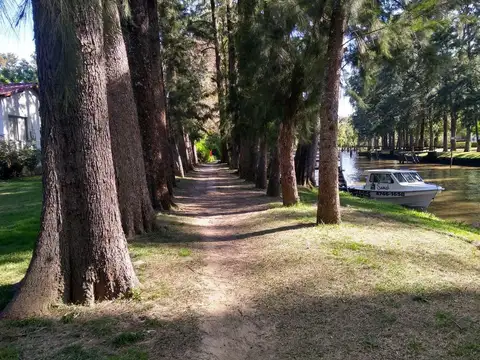 Rio / Arroyo Rama Negra La Guapeada 100