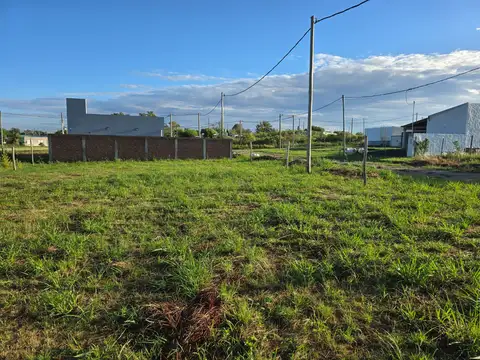 Avenida Los Chañares , Piso Los