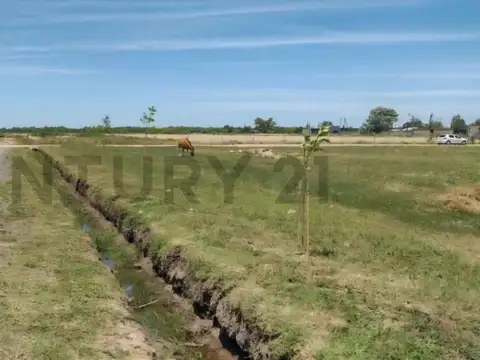 Terreno en Venta de 283,0 m2