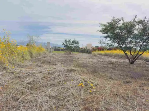 TERRENO VENTA EL MOLLAR II RP 24 ROSARIO DE LERMA