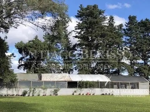 Chacra en Diego Gaynor