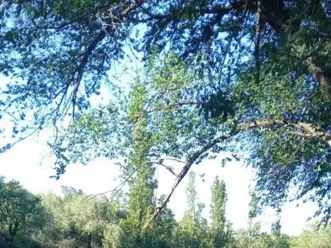 TERRENO EN VENTA EN LA FALDA camino al Complejo 7 CASCADAS