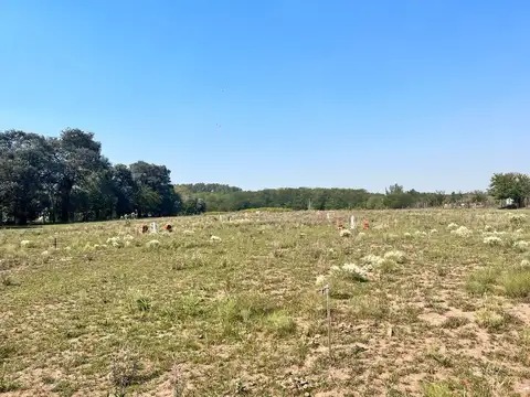 Terreno en Venta en Manzanares, USD 12.900