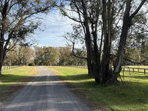 Terreno en Venta en Baradero, USD 88.000