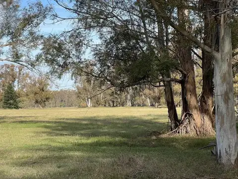 Terreno en Venta de 22864,0 m2