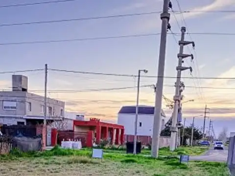 las libertades y san marcos