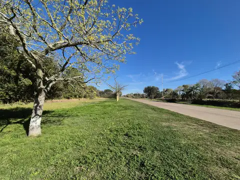 2 Hectáreas con potencial de 20 lotes o más, sobre acceso principal!