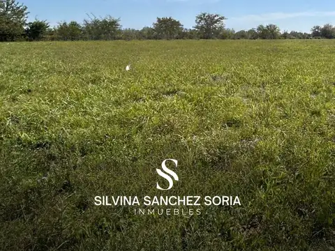 5 HAS EN VENTA, PAVON CERCA DE LOS CARDALES