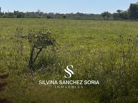 5 HAS EN VENTA, PAVON CERCA DE LOS CARDALES