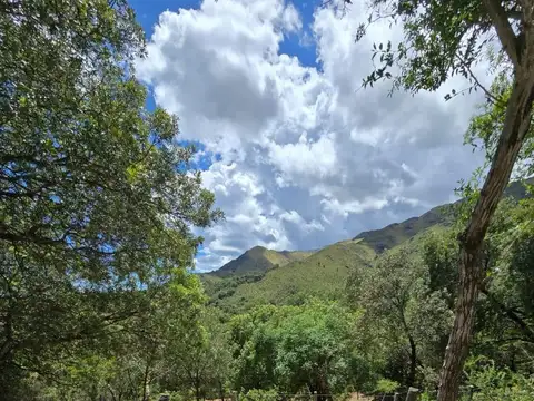 Terreno en Venta de 1600,0 m2