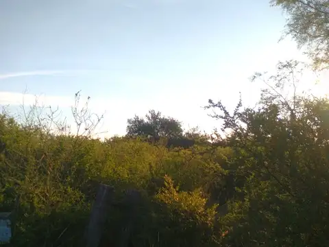 Terreno en Venta de 50000,0 m2