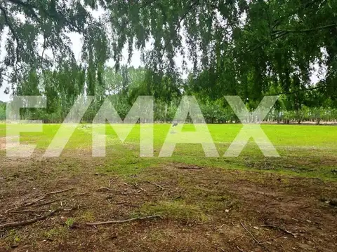 LOTE DE 2.500 M2 - LEJOS DE BS AS II - SENILLOSA