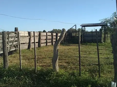 CAMPO 117 HS. EXCELENTE ZONA AGICOLA GANADERA SOBRE RUTA 26