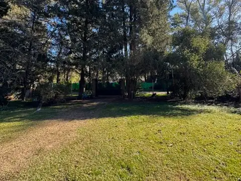 Gauchos de Güemes 1400