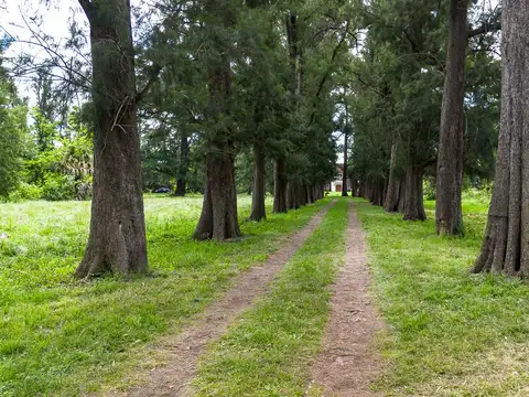 Terreno en Venta en General Rodriguez, $ 2.100.000