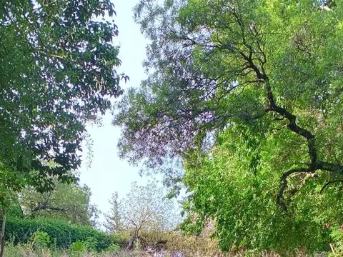 Terreno en Venta de 560,0 m2