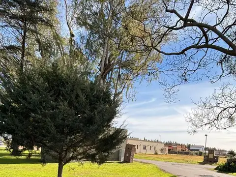 Terreno en Venta de 1000,0 m2