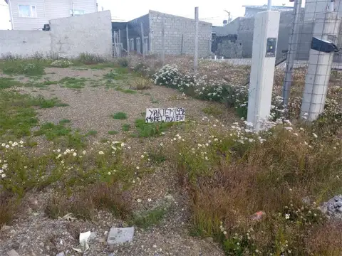 TERRENOS/FRACCIONES/LOTEOS - TERRENOS - VAPOR AMADEO, RÍO GRANDE