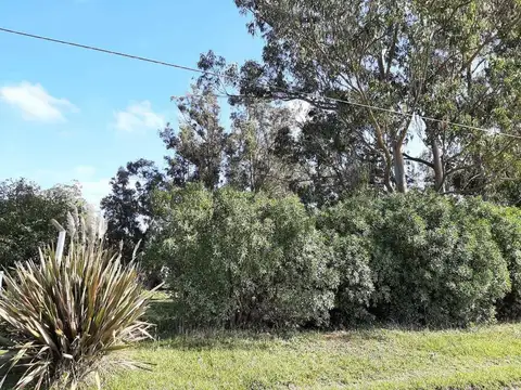 Terreno en Venta de 1875,0 m2