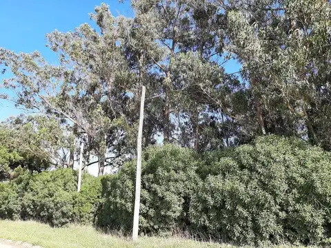 Terreno en venta - 1.875Mts2 - Miramar