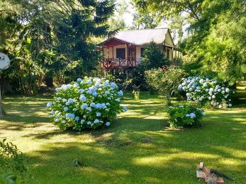 Arroyo Estudiante 100