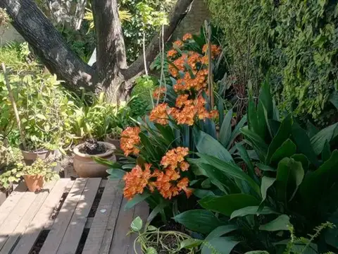 CASA EN VENTA 4 AMBIENTE MONTE GRANDE APTO CRÉDITO