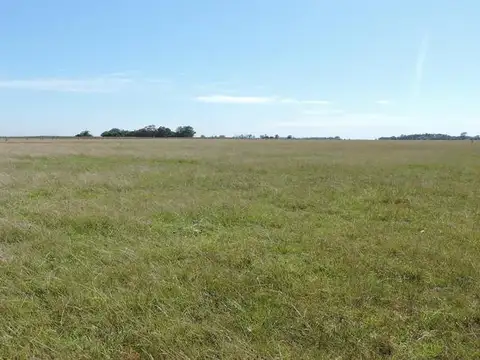 163 Has en San Vicente a 3 Km de autopista