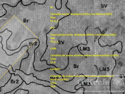 163 Has en San Vicente a 3 Km de autopista