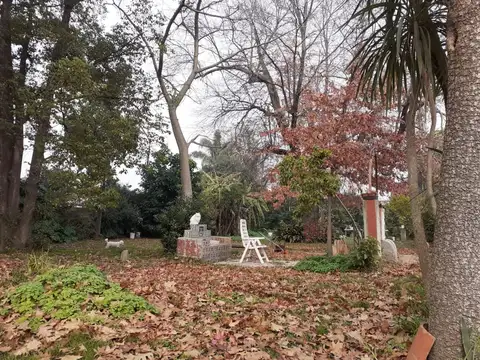 Remedios De Escalada 700