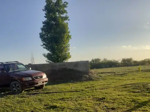 Calle Belgrano S/N 100