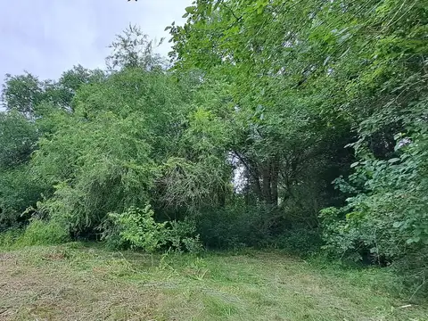 Terreno en Venta 85  mts Fondo