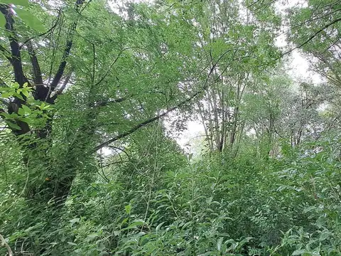 Venta. Lote 3187m2. El Remanso. Exaltación de la Cruz