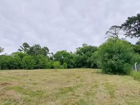 Terreno en Venta 37  mts Frente