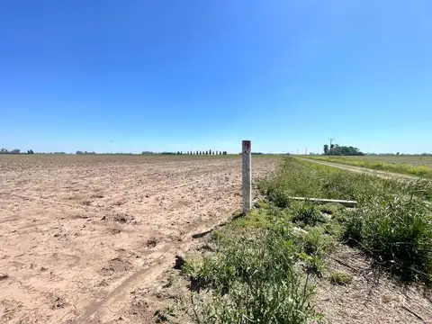 Campo en  Sodini / Santa Fe al 0