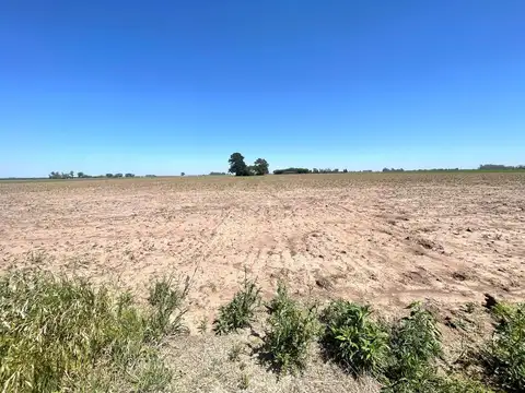 Campo en  Sodini / Santa Fe al 0