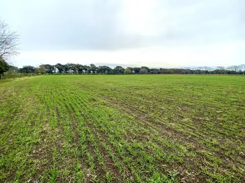 Terreno en Venta de 25000,0 m2