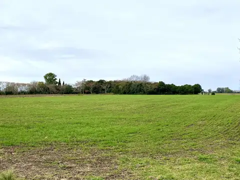 Terreno en Venta en Exaltacion De La Cruz, USD 68.000