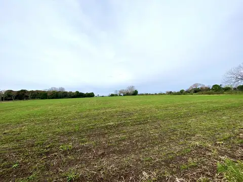 Entre Chenaut y Andonaegui